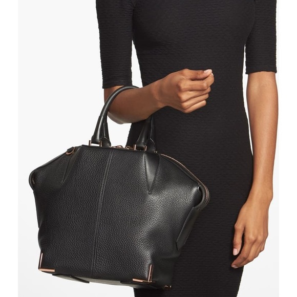 SOLD Alexander Wang Emile Satchel (SM) - Picture 2 of 6